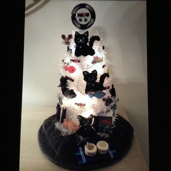 Meet your Posher KIKO - Picture 11 of 16